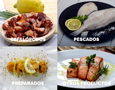Distribuidor New Concisa  ultracongelados